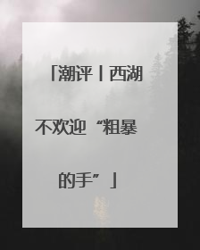 潮评丨西湖不欢迎“粗暴的手”