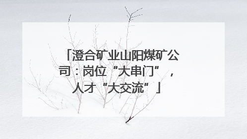 澄合矿业山阳煤矿公司：岗位“大串门”，人才“大交流”