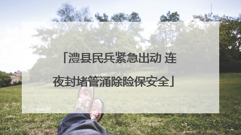 澧县民兵紧急出动 连夜封堵管涌除险保安全