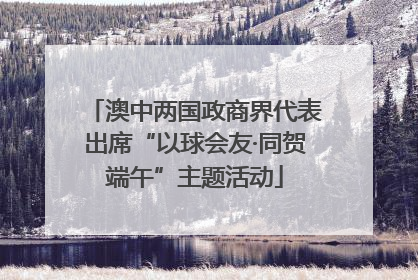 澳中两国政商界代表出席“以球会友·同贺端午”主题活动