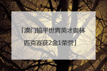澳门镜平世青英才奥林匹克赛获2金1荣誉