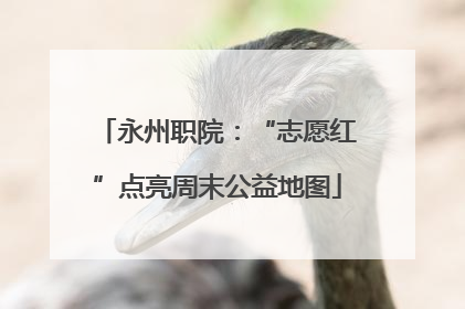 永州职院：“志愿红”点亮周末公益地图