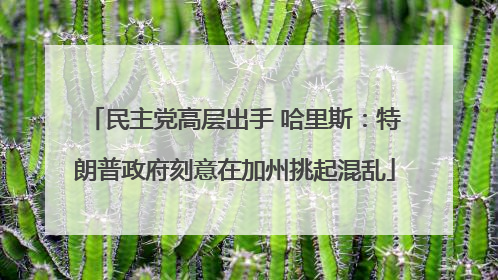 民主党高层出手 哈里斯：特朗普政府刻意在加州挑起混乱