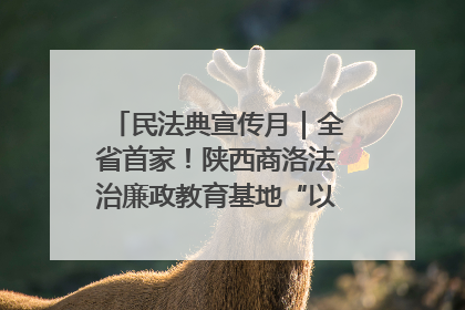 民法典宣传月｜全省首家！陕西商洛法治廉政教育基地“以案说纪”润人心