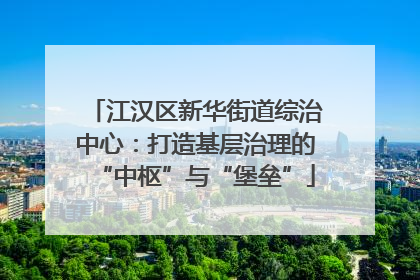 江汉区新华街道综治中心：打造基层治理的“中枢”与“堡垒”