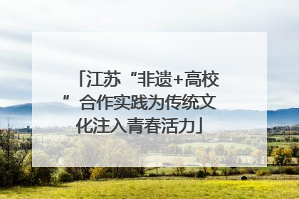 江苏“非遗+高校”合作实践为传统文化注入青春活力