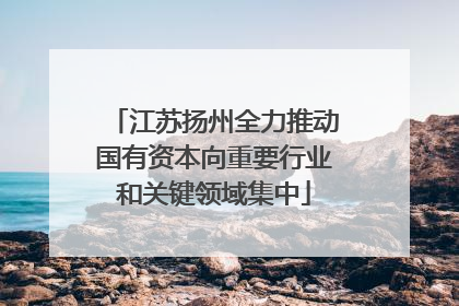 江苏扬州全力推动国有资本向重要行业和关键领域集中