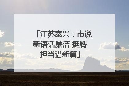 江苏泰兴：市说新语话廉洁 挺膺担当谱新篇