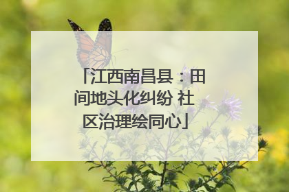江西南昌县：田间地头化纠纷 社区治理绘同心