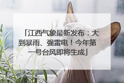 江西气象最新发布：大到暴雨、强雷电！今年第一号台风即将生成