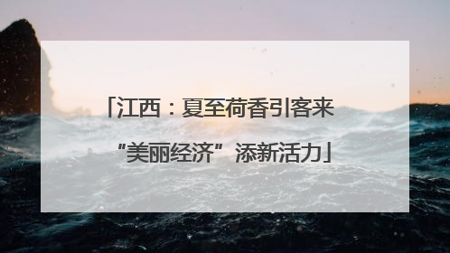 江西：夏至荷香引客来 “美丽经济”添新活力