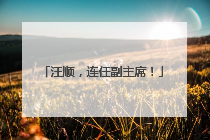汪顺，连任副主席！