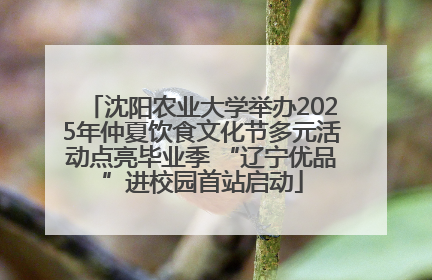 沈阳农业大学举办2025年仲夏饮食文化节多元活动点亮毕业季 “辽宁优品”进校园首站启动