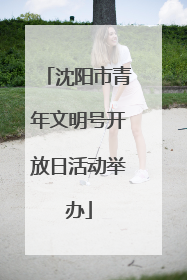 沈阳市青年文明号开放日活动举办