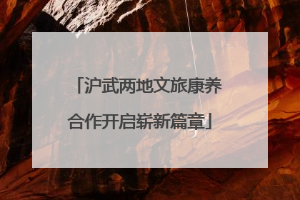 沪武两地文旅康养合作开启崭新篇章