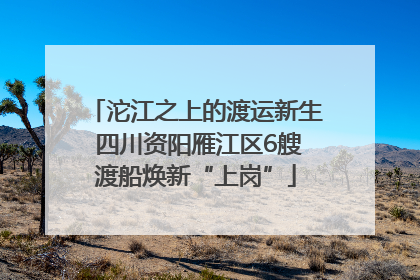 沱江之上的渡运新生 四川资阳雁江区6艘渡船焕新“上岗”