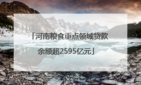 河南粮食重点领域贷款余额超2595亿元