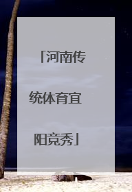 河南传统体育宜阳竞秀
