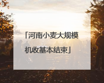 河南小麦大规模机收基本结束