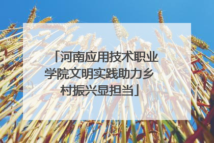 河南应用技术职业学院文明实践助力乡村振兴显担当