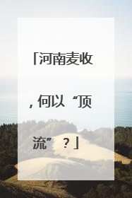 河南麦收，何以“顶流”？