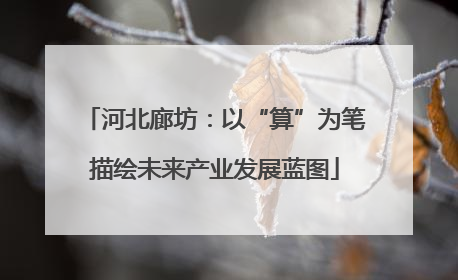 河北廊坊：以“算”为笔描绘未来产业发展蓝图