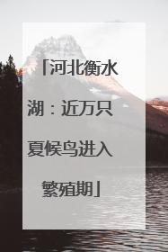 河北衡水湖：近万只夏候鸟进入繁殖期