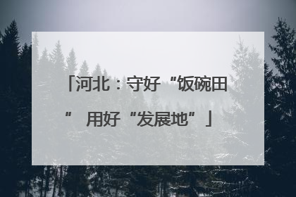 河北：守好“饭碗田” 用好“发展地”