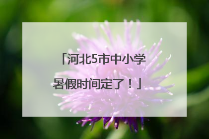 河北5市中小学暑假时间定了！