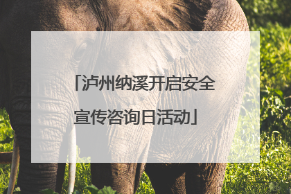 泸州纳溪开启安全宣传咨询日活动