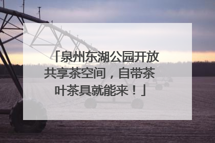 泉州东湖公园开放共享茶空间，自带茶叶茶具就能来！