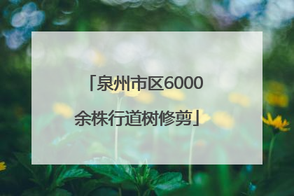 泉州市区6000余株行道树修剪