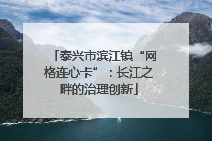 泰兴市滨江镇“网格连心卡”：长江之畔的治理创新