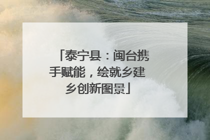 泰宁县：闽台携手赋能，绘就乡建乡创新图景