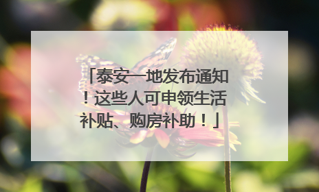 泰安一地发布通知！这些人可申领生活补贴、购房补助！