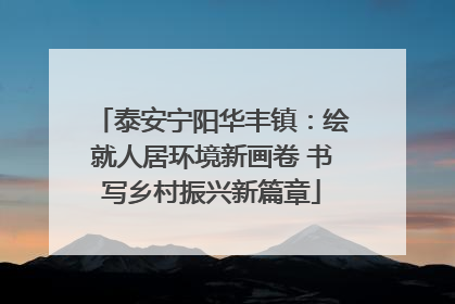 泰安宁阳华丰镇：绘就人居环境新画卷 书写乡村振兴新篇章