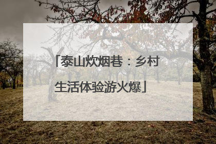 泰山炊烟巷：乡村生活体验游火爆