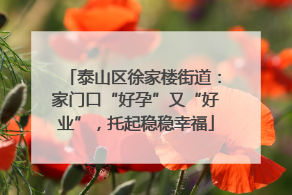 泰山区徐家楼街道：家门口“好孕”又“好业”，托起稳稳幸福