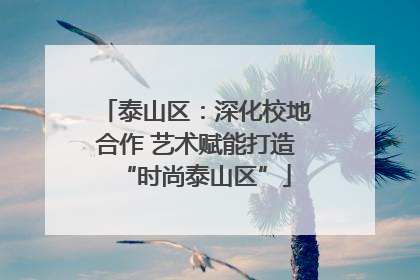 泰山区：深化校地合作 艺术赋能打造“时尚泰山区”