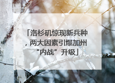 洛杉矶惊现新兵种，两大因素引爆加州“内战”升级