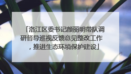 洛江区委书记颜丽明带队调研督导巡视反馈意见整改工作，推进生态环境保护建设