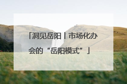 洞见岳阳丨市场化办会的“岳阳模式”