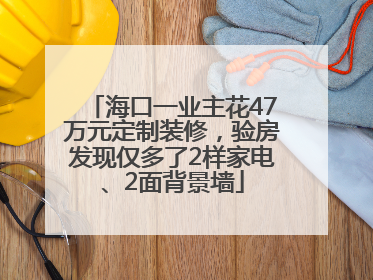 海口一业主花47万元定制装修，验房发现仅多了2样家电、2面背景墙