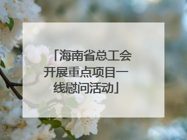 海南省总工会开展重点项目一线慰问活动