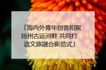 海内外青年创客相聚扬州古运河畔 共同打造文旅融合新范式