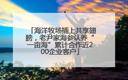 海洋牧场插上共享翅膀，老尹家海参认养“一亩海”累计合作近200企业客户