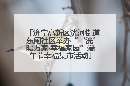 济宁高新区洸河街道东闸社区举办“‘洸’暖万家·幸福家园”端午节幸福集市活动