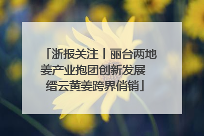 浙报关注丨丽台两地姜产业抱团创新发展 缙云黄姜跨界俏销