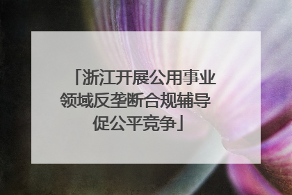 浙江开展公用事业领域反垄断合规辅导 促公平竞争