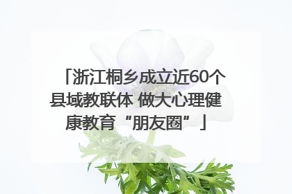 浙江桐乡成立近60个县域教联体 做大心理健康教育“朋友圈”